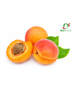 Joghurtaroma ger. 4.0 kg Knospe BIO-Aprikose