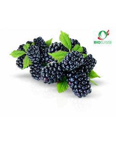 Joghurtaroma ger. 4.0 kg Knospe BIO-Brombeer