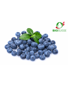 Joghurtaroma ger. 4.0 kg Knospe BIO-Heidelbeer
