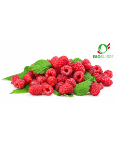 Joghurtaroma ger. 4.0 kg Knospe BIO-Himbeer