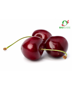 Joghurtaroma ger. 4.0 kg Knospe BIO-Kirschen SCHWEIZ