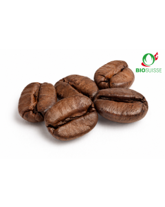 Joghurtaroma fest 4.0 kg Knospe BIO-Mocca