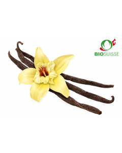 Joghurtaroma ger. 4.0 kg Knospe BIO-Vanille