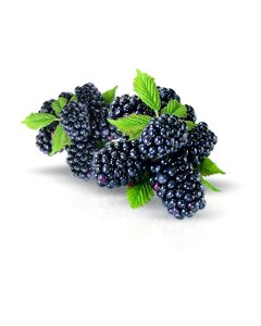Joghurtaroma ger. 14 kg Brombeer