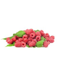 Joghurtaroma ger. 14 kg Himbeer